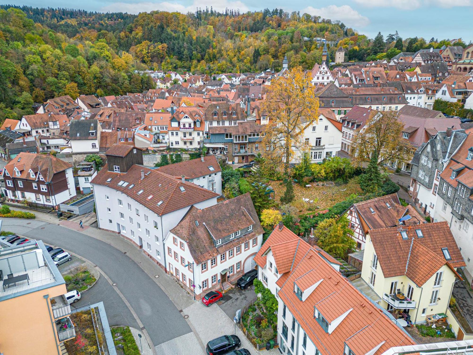 Lit Living Weinheim Altstadt - Boutique Apartments - Parking Εξωτερικό φωτογραφία
