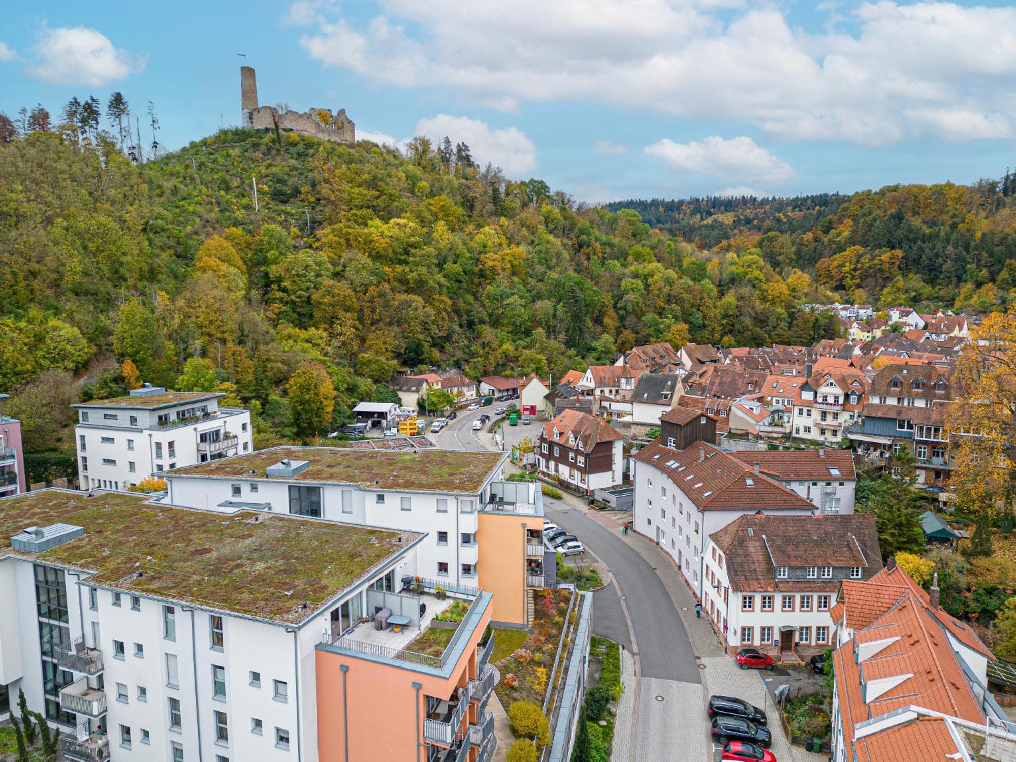 Lit Living Weinheim Altstadt - Boutique Apartments - Parking Εξωτερικό φωτογραφία